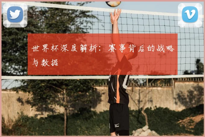 世界杯深度解析：赛事背后的战略与数据