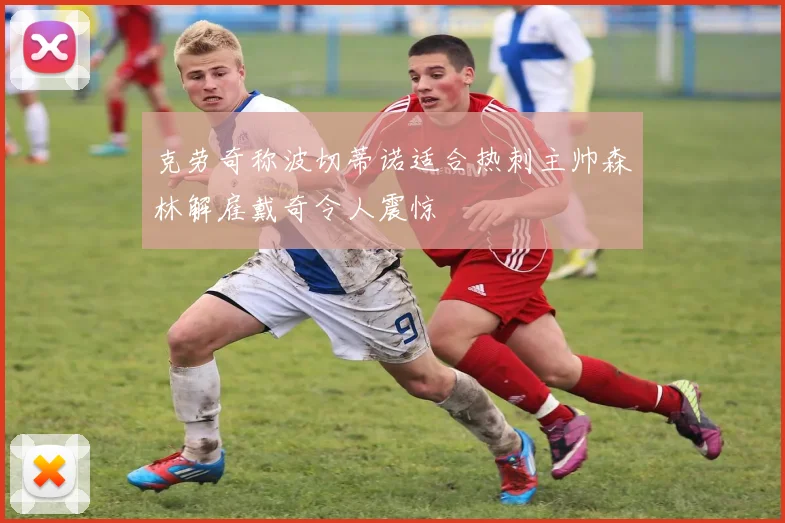 克劳奇称波切蒂诺适合热刺主帅森林解雇戴奇令人震惊