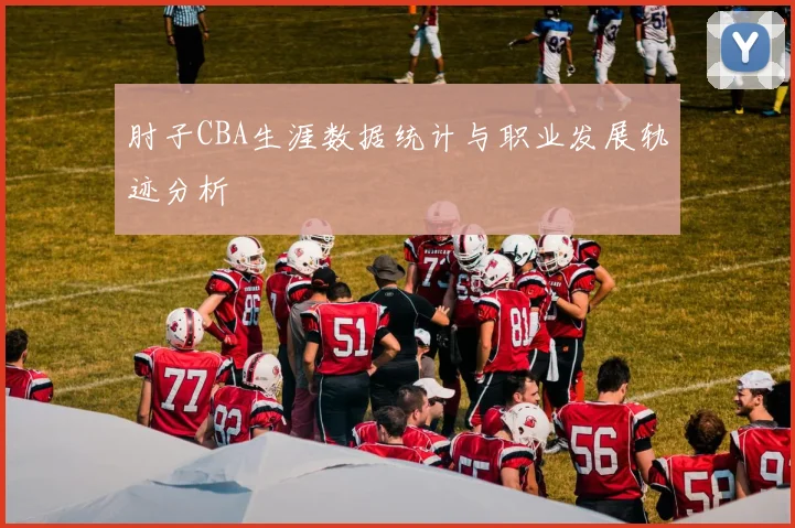 肘子CBA生涯数据统计与职业发展轨迹分析