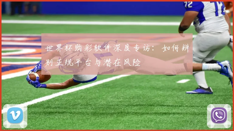 世界杯购彩软件深度专访:如何辨别正规平台与潜在风险