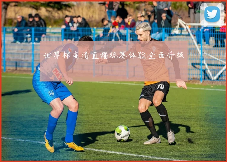 世界杯高清直播观赛体验全面升级