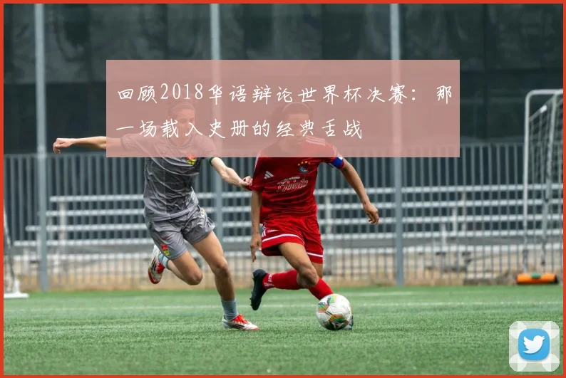 回顾2018华语辩论世界杯决赛：那一场载入史册的经典舌战