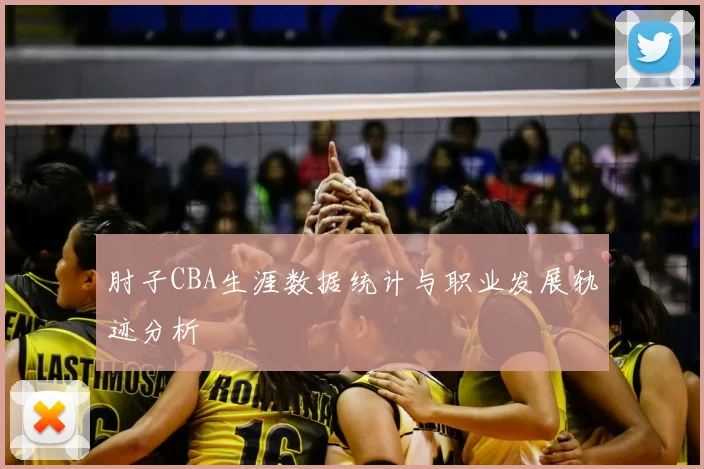 肘子CBA生涯数据统计与职业发展轨迹分析