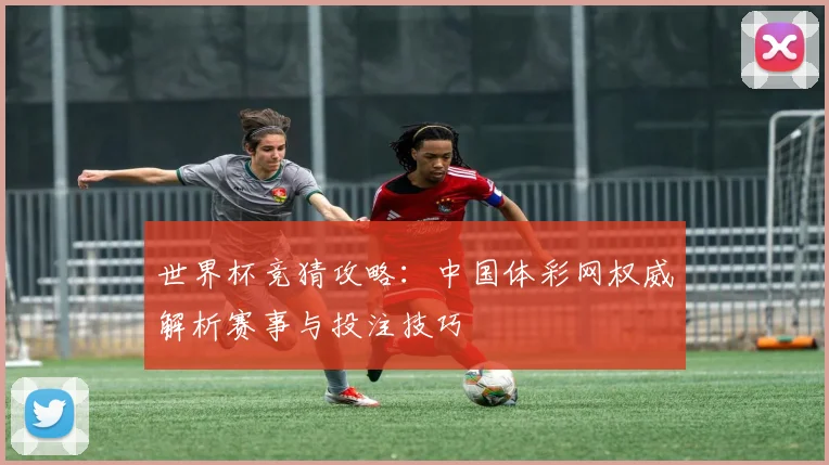 世界杯竞猜攻略：中国体彩网权威解析赛事与投注技巧