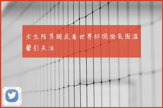 女生陪男朋友看世界杯现场氛围温馨引关注