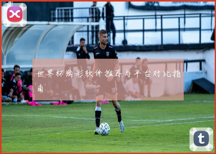 世界杯购彩软件推荐与平台对比指南