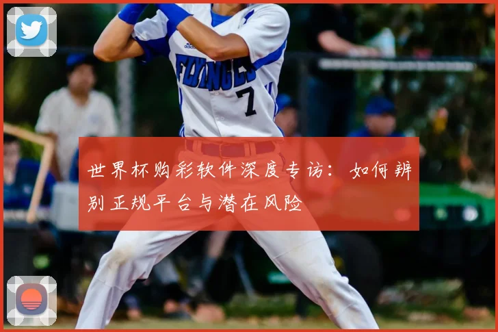 世界杯购彩软件深度专访：如何辨别正规平台与潜在风险