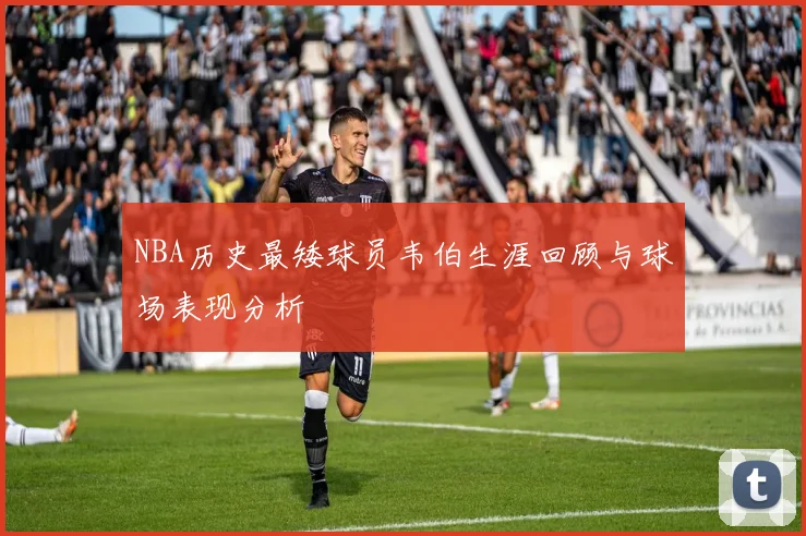 NBA历史最矮球员韦伯生涯回顾与球场表现分析